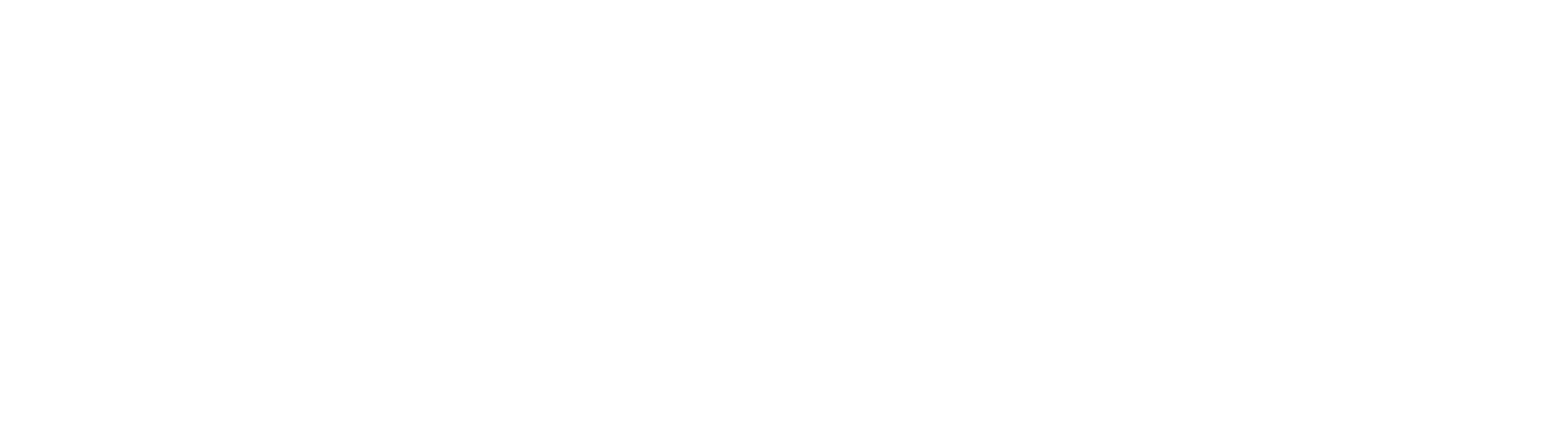Terranova Diseño de Viajes